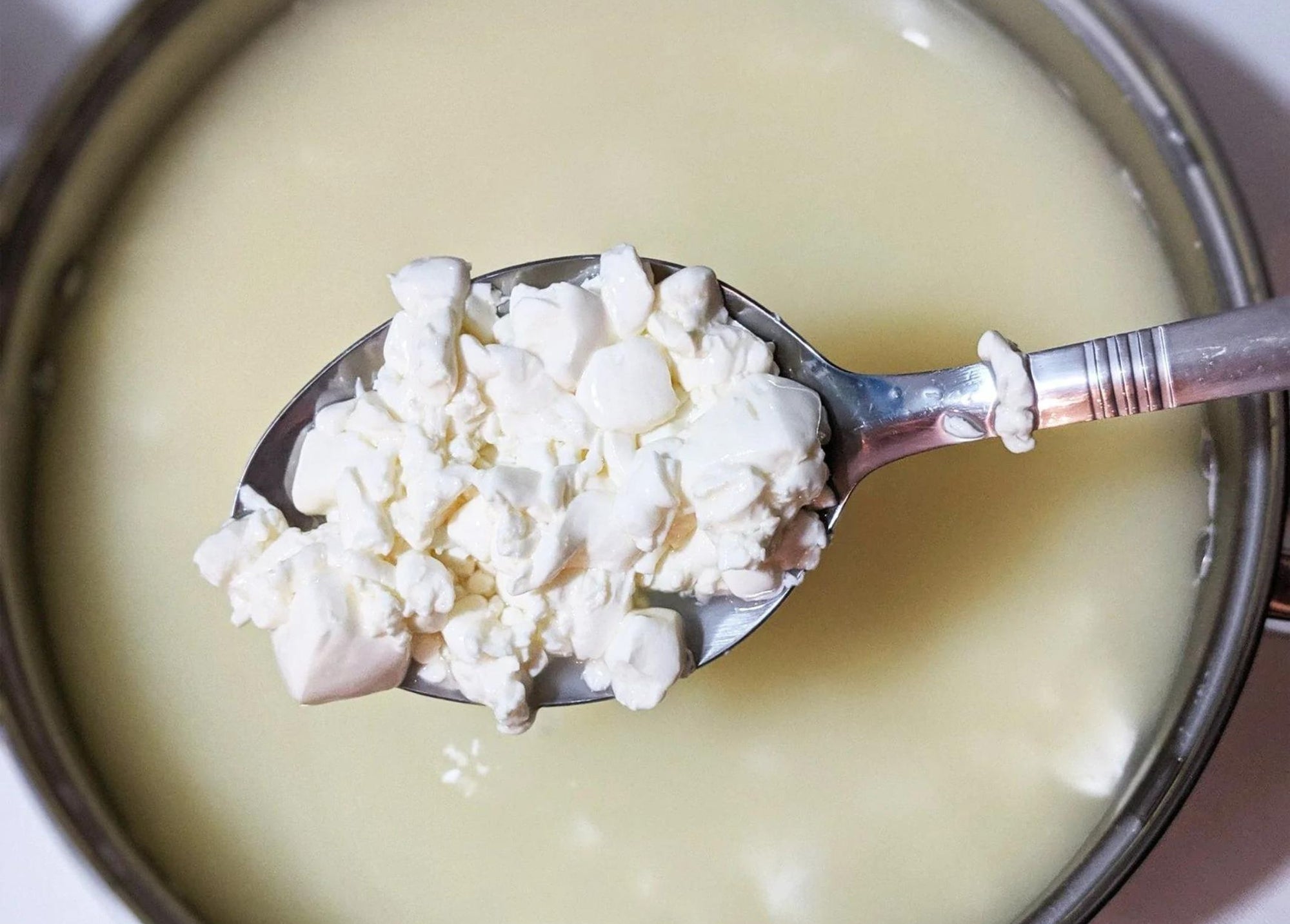 5 Reasons to Make Cheese at Home