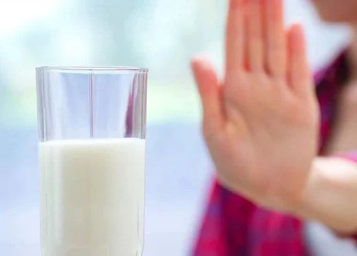 Cheesemaking for the Lactose Intolerant