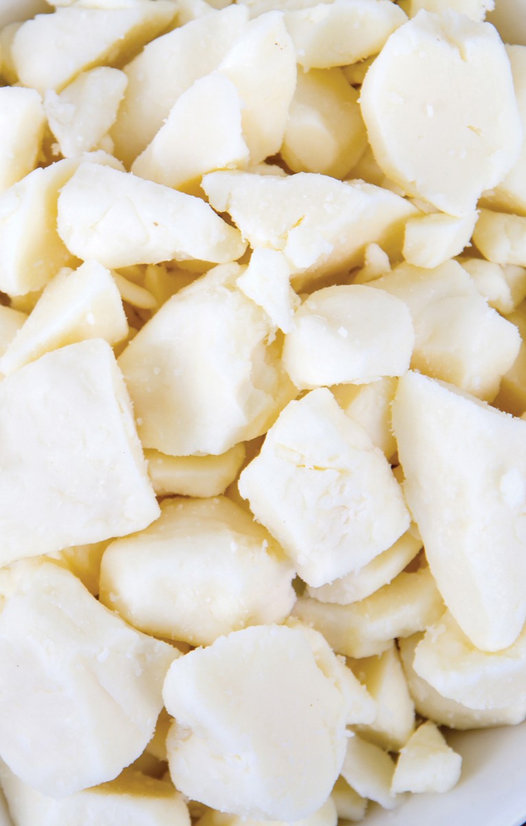 Exploring the Heritage of Curds