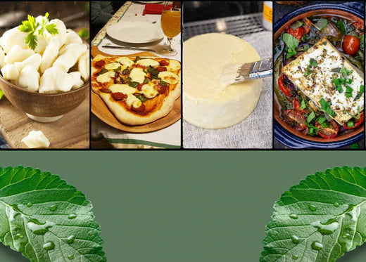 The 7 Healthiest Types of Cheese