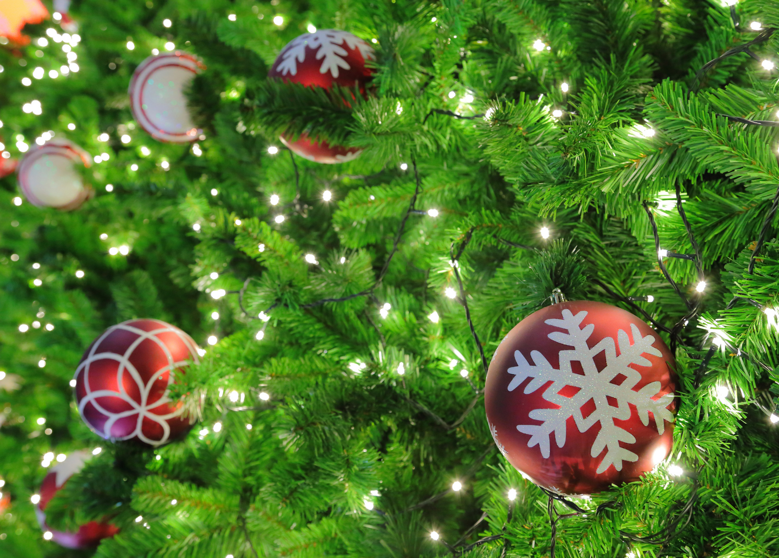 The Most Popular Christmas Cheeses